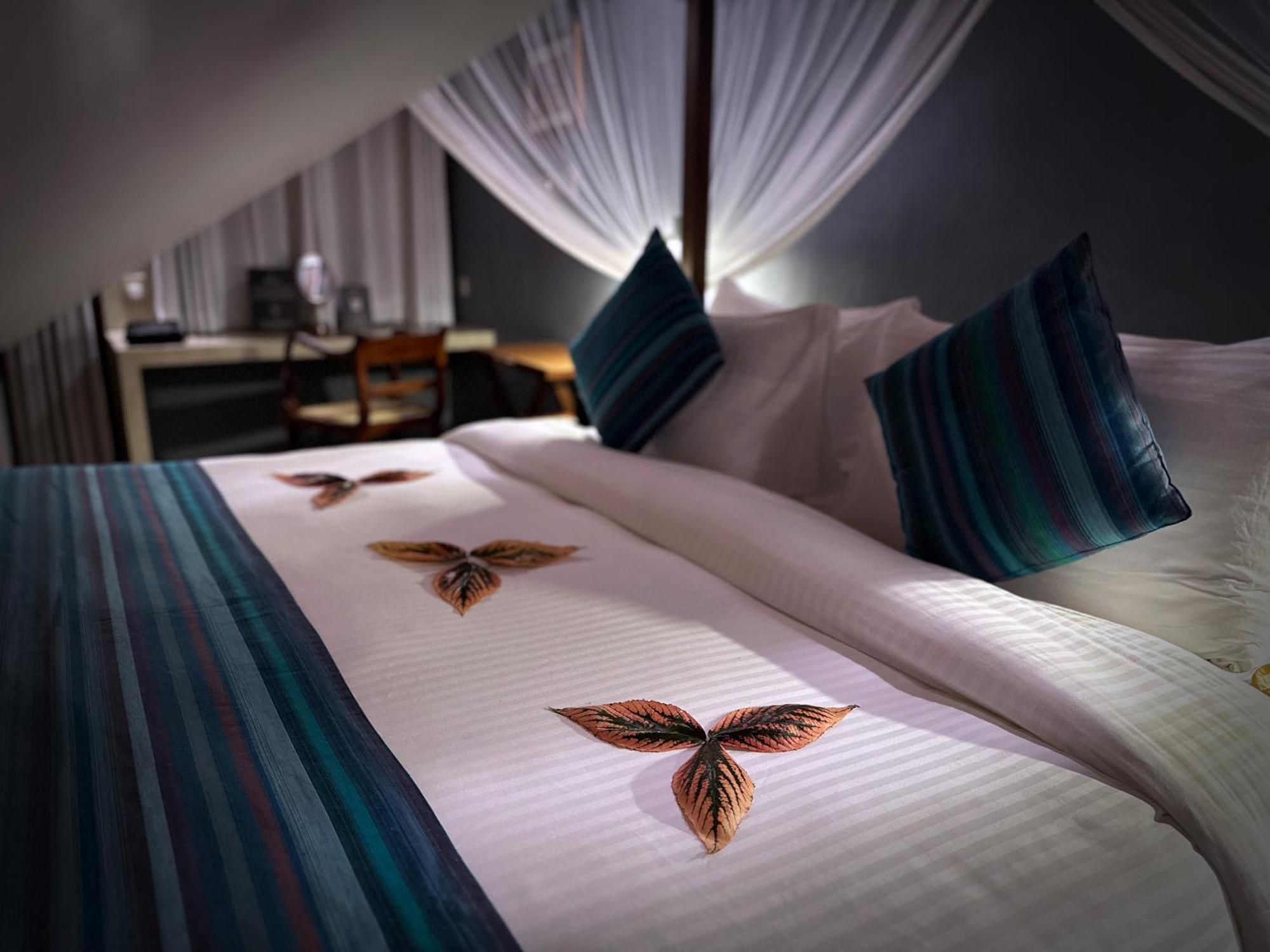آرونيا ناتشر 5*